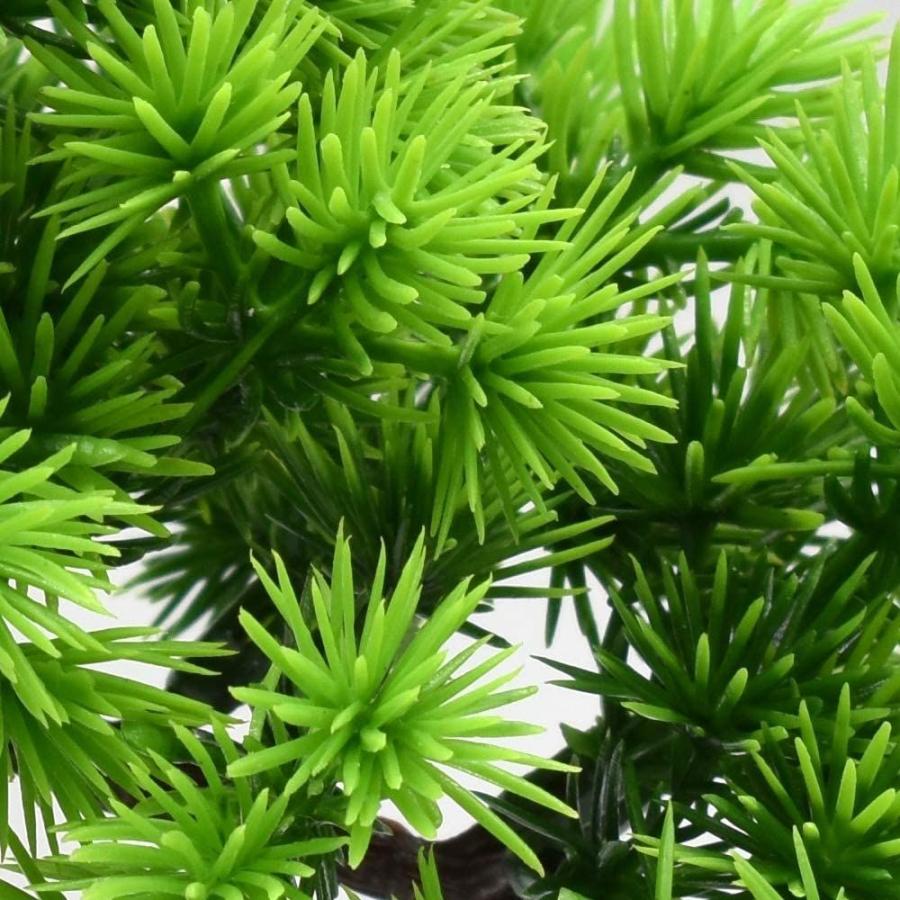 永遠の命 松の木 現代風 フラワーポット 家庭植物 花植物 ハーブ 観葉植物 室内 ホーム 庭 装? デコレーション (016) 室内装飾 LIHITLAB IDカードボード 30口座 259×33×505mm S107 (0-065-02)