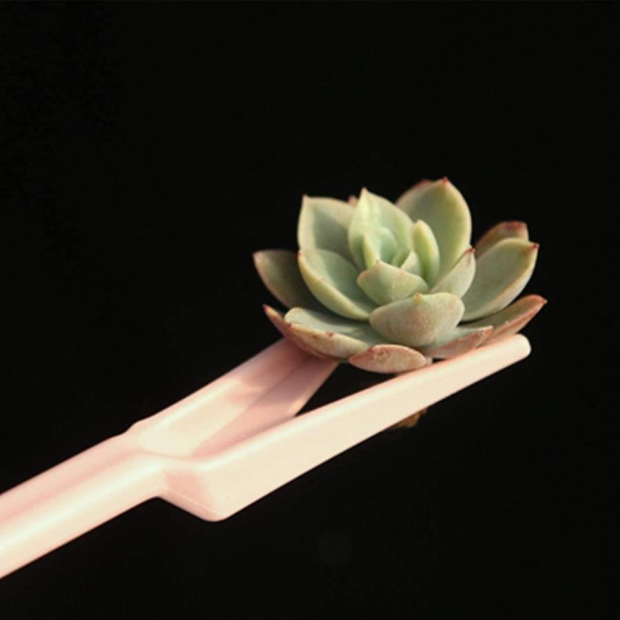 カリム店 ガーデニングツール 多肉植物 観葉植物 室内 ミニ 園芸用品 庭造り手工具 16点セット パンチャー じょうろ バケツシャベル ペ Maple Tree House 通販 Yahoo ショッピング