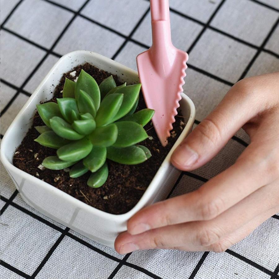 カリム店 ガーデニングツール 多肉植物 観葉植物 室内 ミニ 園芸用品 庭造り手工具 16点セット パンチャー じょうろ バケツシャベル ペ Maple Tree House 通販 Yahoo ショッピング