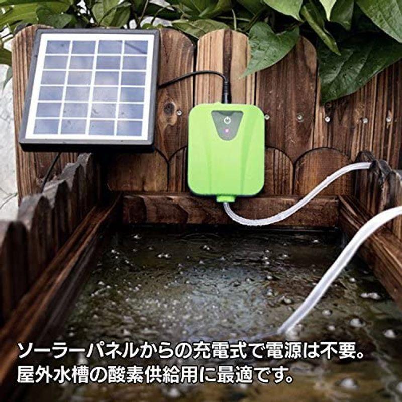 ソーラー充電式エアポンプ グリーン 太陽光充電で電源不要 USB充電対応 エア吐出量毎分2L 静音設計 持ち運び使用可 ポータブルエアポ  :20211011152842-00053:Maple Tree House - 通販 - Yahoo!ショッピング