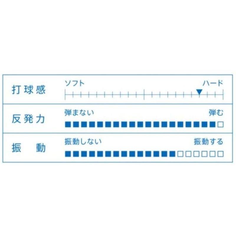 【初期/レア】 ヴィクタス(VICTAS) 卓球 ラケット ファイヤーフォール VC フレア 027754 【B1973795960】(10746円)