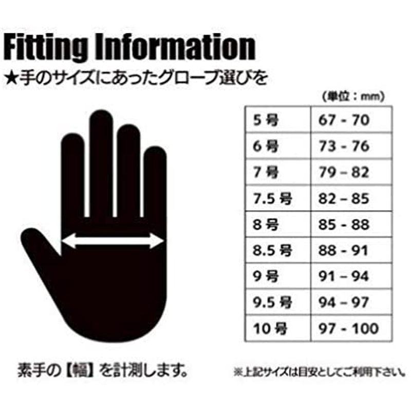 HO SOCCER ゴールキーパーグローブ 51.0952 フェノメノン マグネティック2 ウィンターライト ネガティブ 9 ブラック HO SOCCER ゴールキーパーグローブ フェノメノン マグネティック2 ウィンターライト ネガティブ ブラック