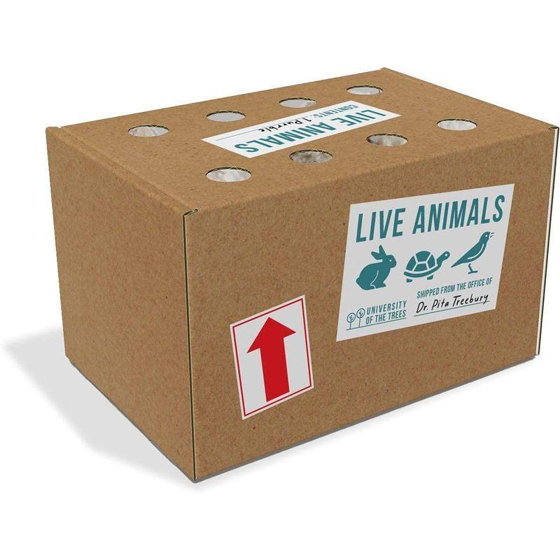 Purrble - 生き生きとした鼓動と心地良いゴロゴロという声で心を落ち着かせてくれるコンパニオントイ - 全年齢向けのインタラクティブな Purrble 生き生きとした鼓動と心地良いゴロゴロという声で心を落ち着かせてくれるコンパニオントイ 全年齢向けのインタラクティブな