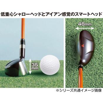 （代引不可）デリンジャートッパ(突破)タラコアイアン 6番 シャフト硬度R DTT-06(R)_3