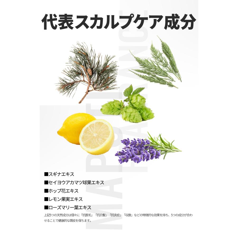 【LDKA評価】マプティ　オーガニックフレグランスサラサラシャンプー　MAPUTI　350mL |  | 06