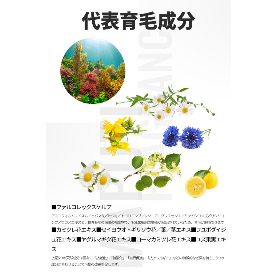 【LDKA評価】マプティ　オーガニックフレグランスサラサラトリートメント　MAPUTI　350mL |  | 05