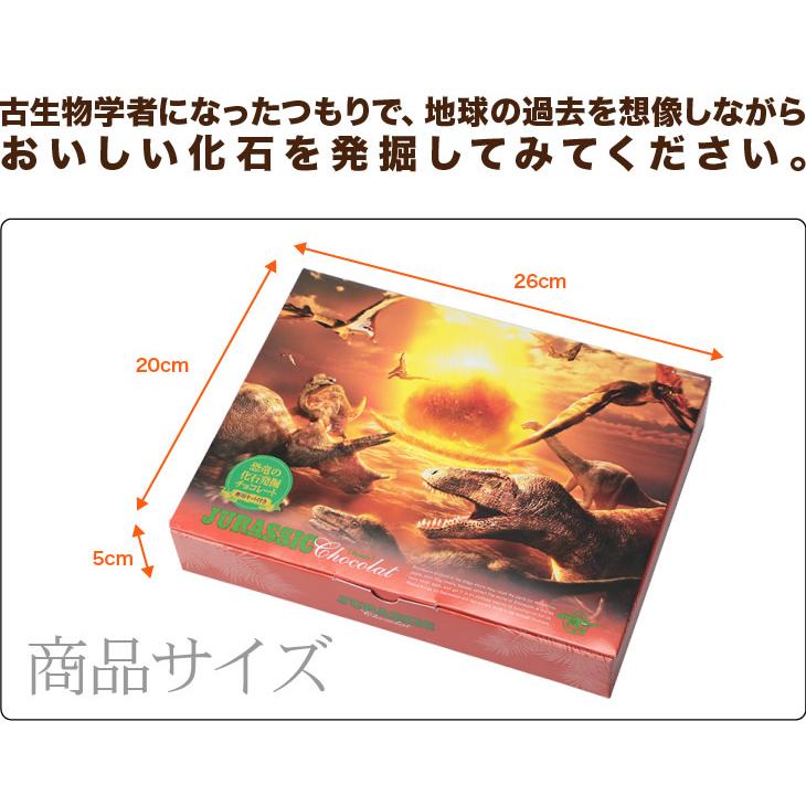 マキィズ チョコレート ジュラシックショコラ パズル Jc 031 チョコレート専門店マキィズ 通販 Yahoo ショッピング