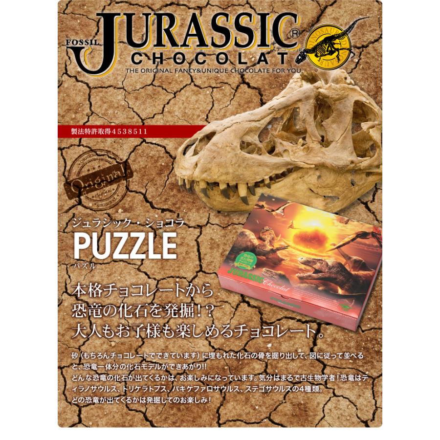恐竜 ジュラシックショコラ パズル チョコレート 発掘 化石 ユニーク インスタ映え お取り寄せスイーツ ギフト お子様 おもしろい :  チョコレート専門店マキィズ - 通販 - Yahoo!ショッピング