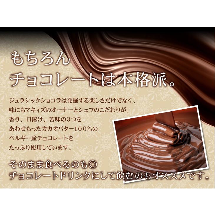 恐竜チョコ チョコ マキィズ チョコレート バレンタイン 21 お取り寄せ ギフト おやつ プレゼント かわいい キッズ 子供 ジュラシックショコラ パズル Jc 031 チョコレート専門店マキィズ 通販 Yahoo ショッピング