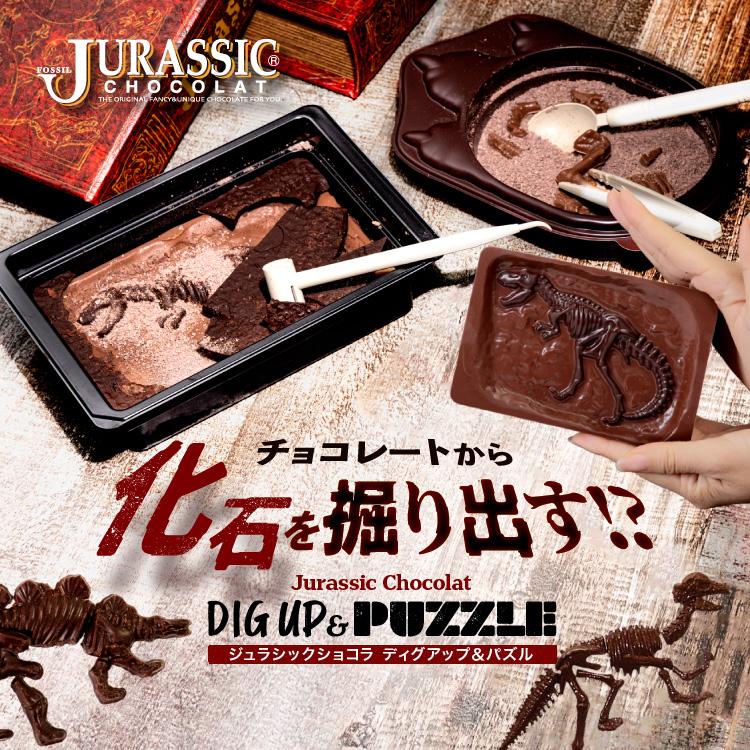 恐竜チョコ チョコ 夏ギフト キッズ ギフト用 ジュラシックショコラ ディグアップ パズル オールドブック仕様 Sagaretxe Net