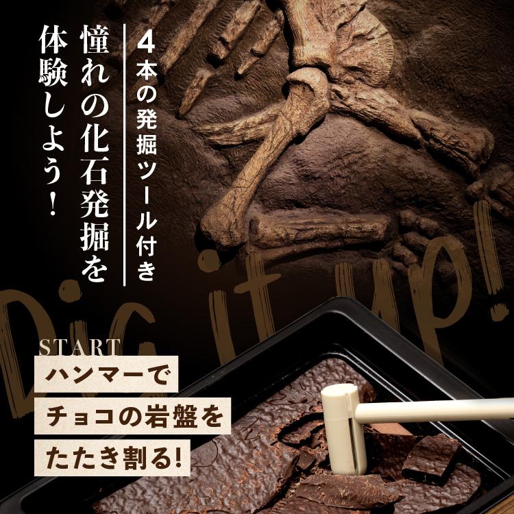 オールドブック仕様 割って！掘って！楽しむチョコレート