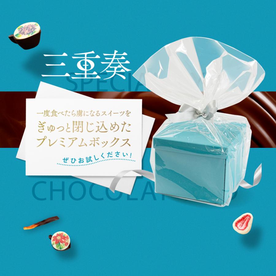 チョコ プレゼント お菓子 とっておきショコラ三重奏 チョコレート