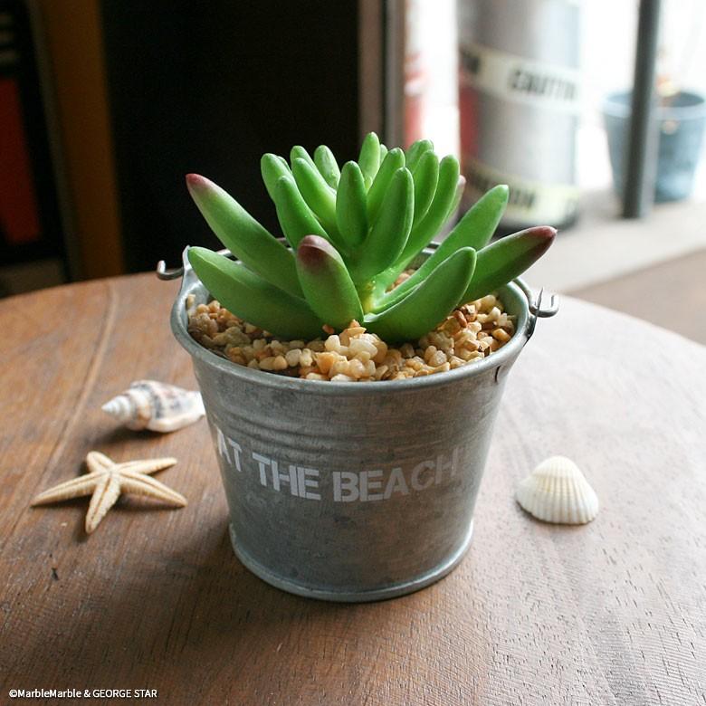 At The Beach 多肉フェイクプランツ ミニバケツ A インテリア雑貨 小さい 観葉 植物 造花 イミテーション 貝がら ヒトデ Zak Oth 001 アメリカン雑貨のマーブルマーブル 通販 Yahoo ショッピング