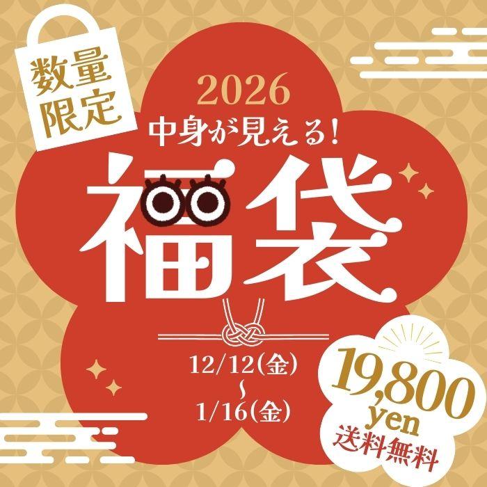 福袋 2026 レディース 大きいサイズ コーディネート セット 冬