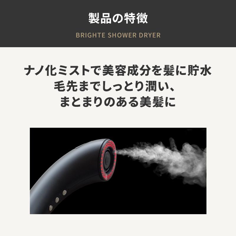 正規品取扱店】Brighte SHOWER DRYER BRT-SD173 ブライト シャワー