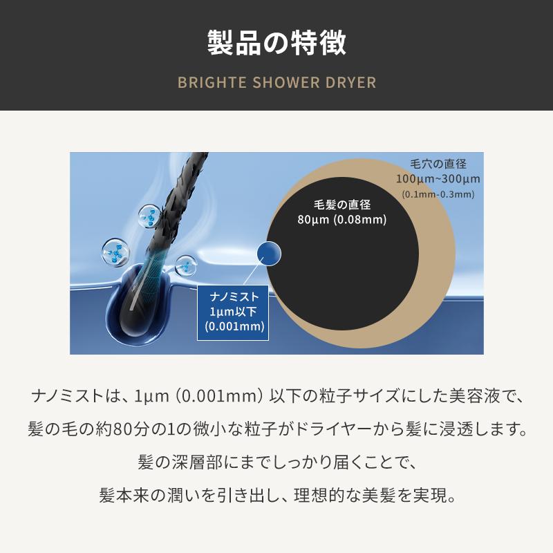 正規品取扱店】Brighte SHOWER DRYER BRT-SD173 ブライト シャワー