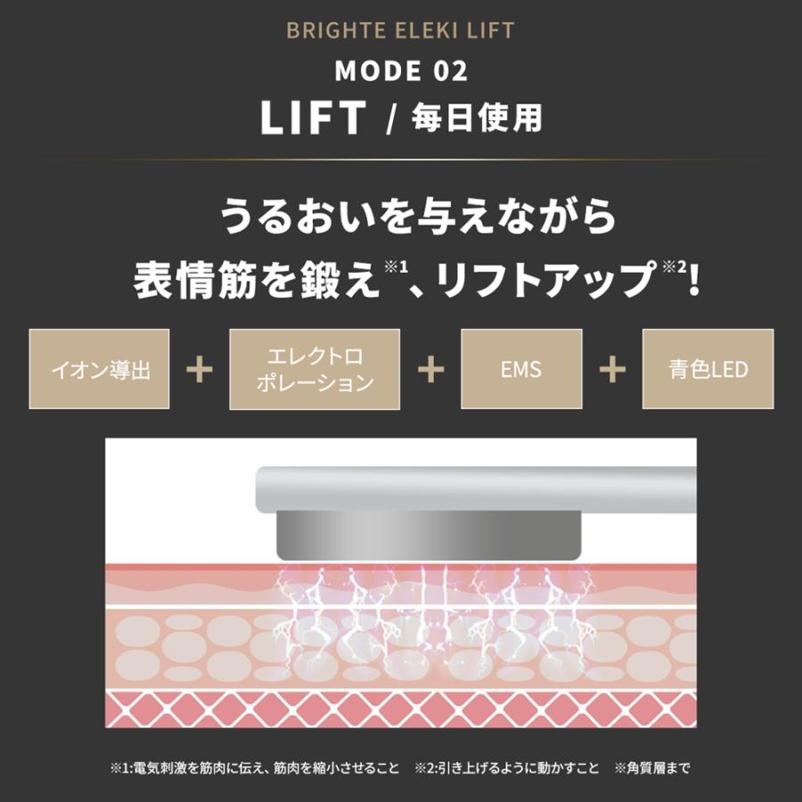 正規品取扱店】Brighte ブライト ELEKI LIFT エレキリフト BRT-FL170