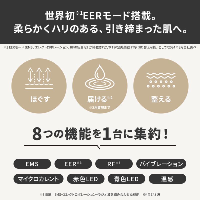 正規品取扱店】アンファー DISM ディズム EMS EER BOT-2310 メンズ美顔