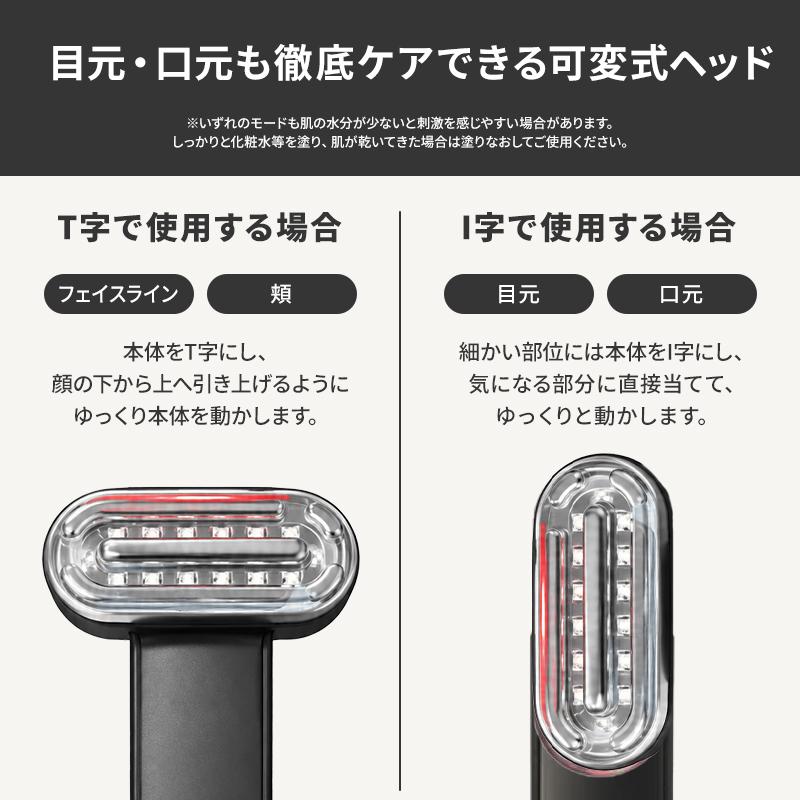 正規品取扱店】アンファー DISM ディズム EMS EER BOT-2310 メンズ美顔