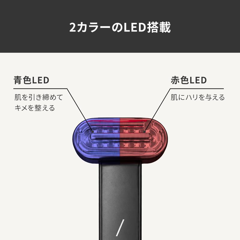 正規品取扱店】アンファー DISM ディズム EMS EER BOT-2310 メンズ美顔