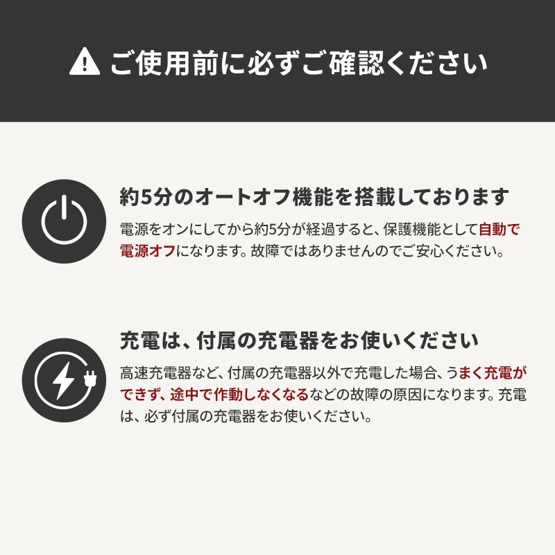 正規品取扱店】アンファー DISM ディズム EMS EER BOT-2310 メンズ美顔