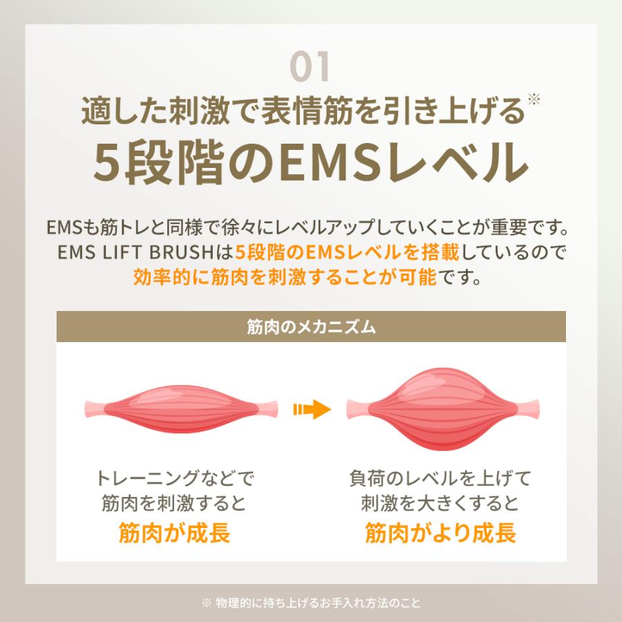 正規品取扱店】SALONIA サロニア EMSリフトブラシ 電気ブラシ フェイス