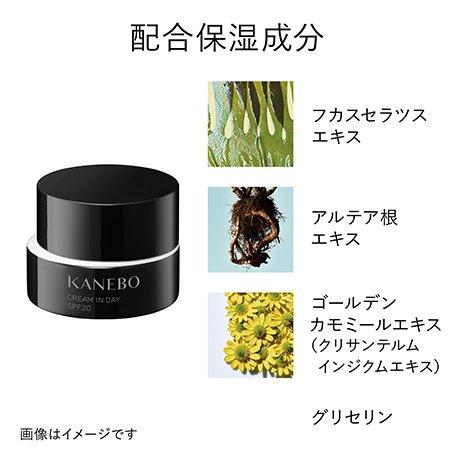 国内正規品 KANEBO カネボウ クリーム イン デイ 40g SPF20 PA