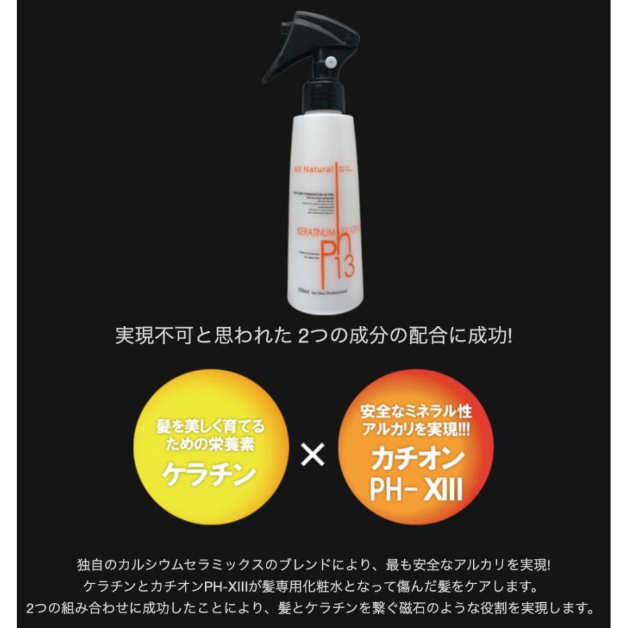 正規販売店 ケラチナムサーティーン 250ml ケラチナム13 プロ 正規販売店 ケラチナムサーティーン 250ml ケラチナム13 プロ