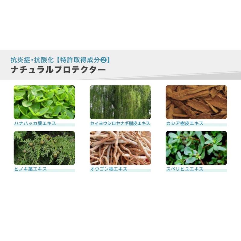 国内正規品 EPIDERM PLUS CREAM エピダームプラスクリーム 100g 国内正規品 EPIDERM PLUS CREAM エピダームプラスクリーム 100g