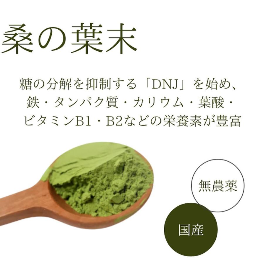 国内正規品 コネクト ポー ワコナルビューティー 300g (3g×100本 国内正規品 コネクト ポー ワコナルビューティー 300g (3g×100本