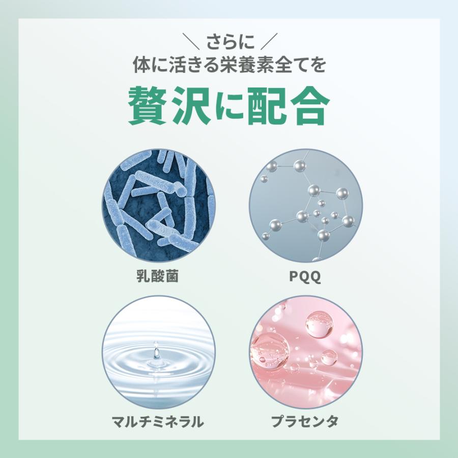 国内正規品 コネクト ポー ワコナルビューティー 300g (3g×100本