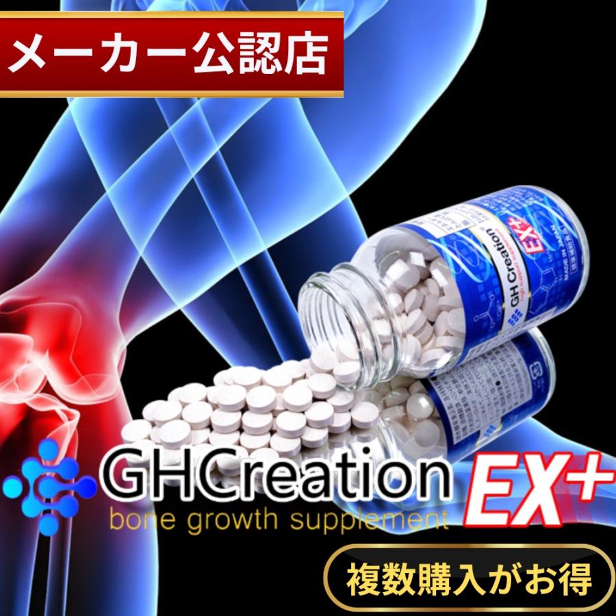 メーカー公認店 GH Creation ジーエイチ クリエーション EX+(