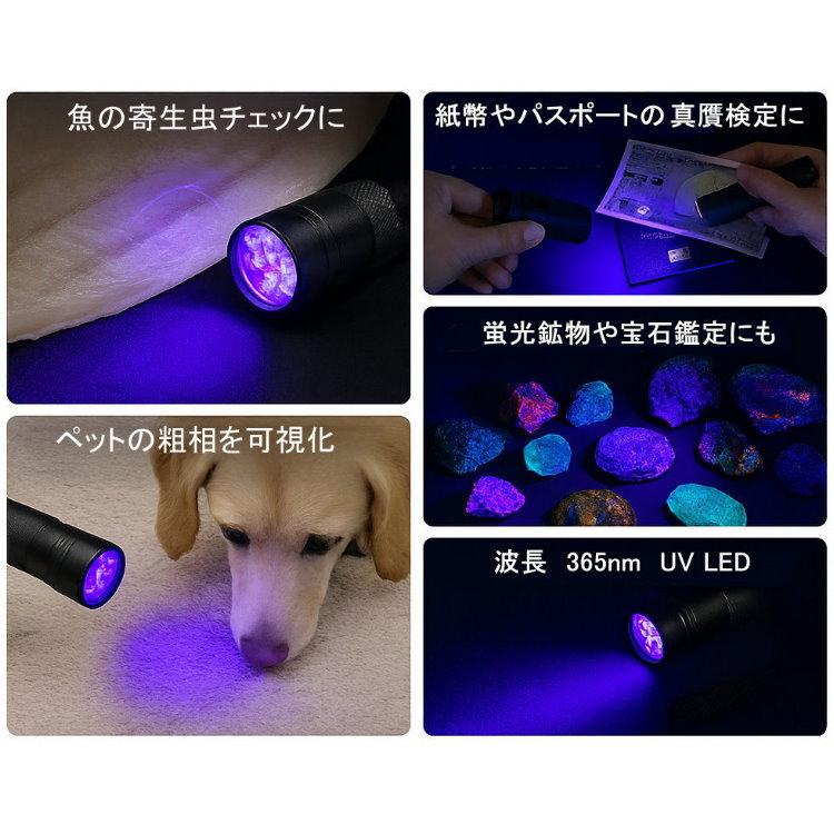 アニサキスライト ブラックライト アニサキス 寄生虫 発見 検出 高性能