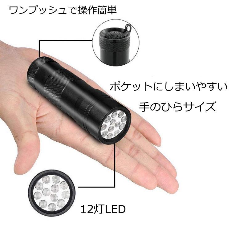 アニサキス発見ライト 【PACK STYLE】 アニサキス発見ライト | パックスタイル