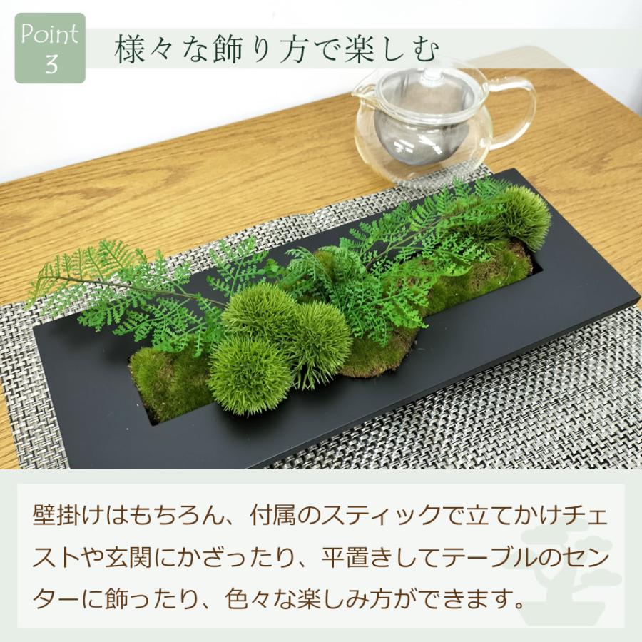 プリマ フェイクグリーン 壁掛け 額 [ウォールデコ マリモ × シノブ
