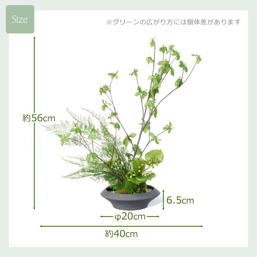 プリマ 和風 フェイクグリーン 造花 盆栽 [ドウダン 寄せ植え盆栽 平皿