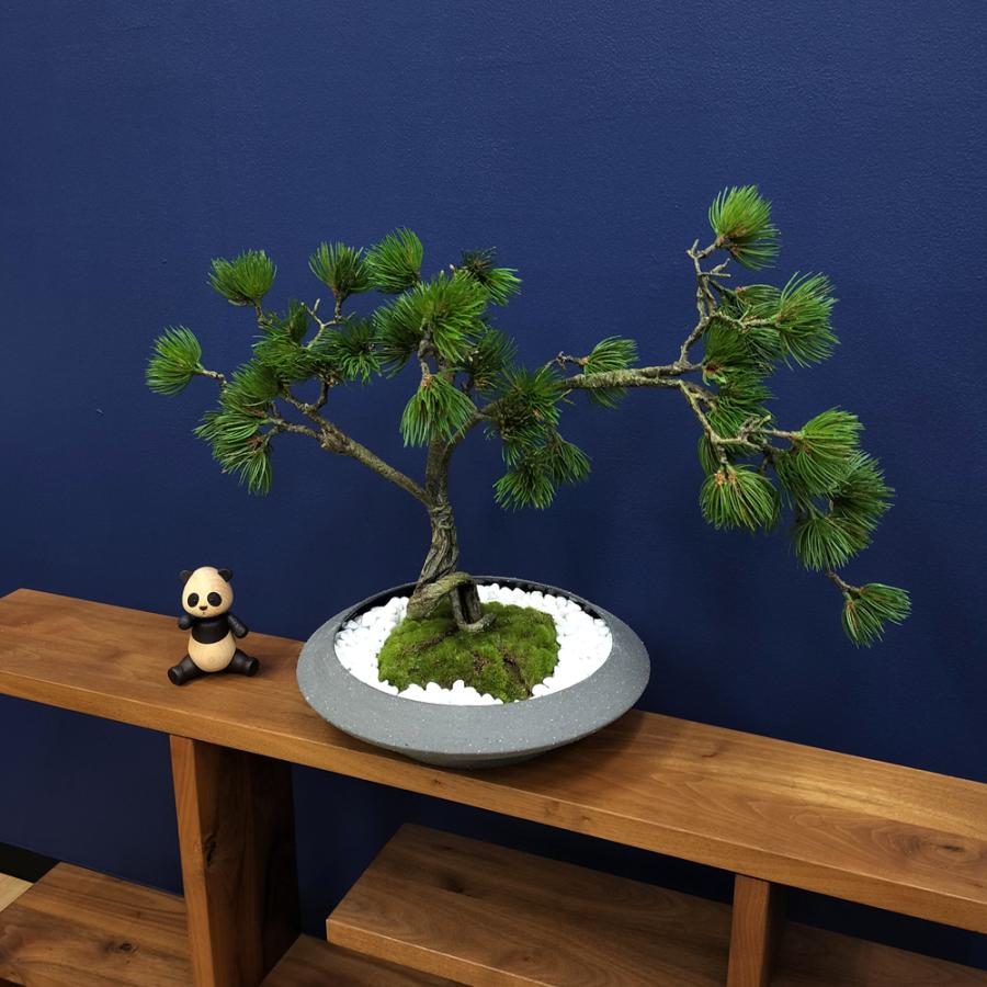 盆栽 松 フェイク [松盆栽 平皿 大] フェイクグリーン 盆栽 フェイクリアル 造花 大型 鉢 和風 観葉植物 五葉松 和モダン 苔 日本製 カップボン プリマ_14