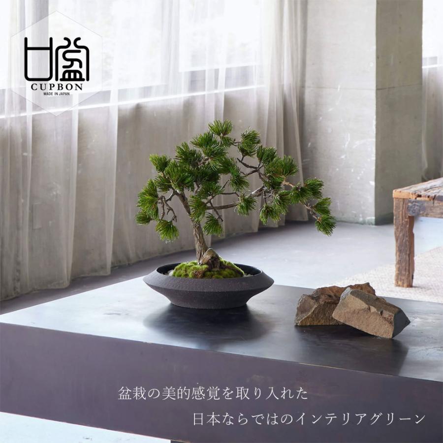 盆栽 松 フェイク [松盆栽 平皿 大] フェイクグリーン 盆栽 フェイクリアル 造花 大型 鉢 和風 観葉植物 五葉松 和モダン 苔 日本製 カップボン プリマ_1