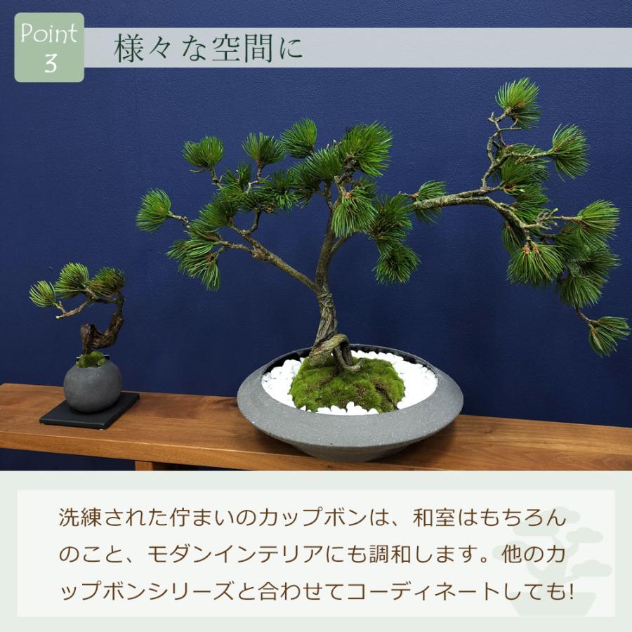 盆栽 松 フェイク [松盆栽 平皿 大] フェイクグリーン 盆栽 フェイクリアル 造花 大型 鉢 和風 観葉植物 五葉松 和モダン 苔 日本製 カップボン プリマ_5