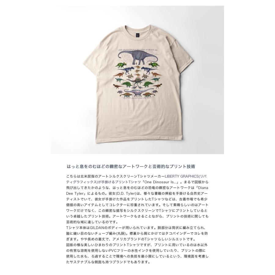 [ ] ロゴグラフィックプリントTシャツ ★大人気★ FreeZone tシャツ グラフィックプリントTシャツ メンズ