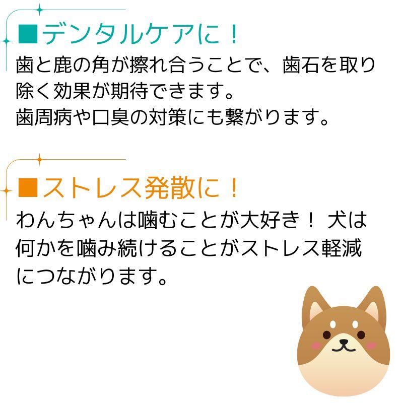 中〜大型犬用 北海道天然エゾ鹿の角 1本 20cm【Lサイズ】 無添加 犬のおもちゃ 犬のおやつ 鹿ツノ デンタルケア【Shicanta シカンタ】｜marcelo-burlon-style｜06