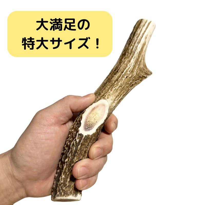 大型犬用 北海道天然エゾ鹿の角 1本 極太 約25cm【特大LLサイズ 大型犬