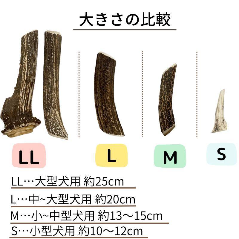 大型犬用 北海道天然エゾ鹿の角 1本 極太 約25cm【特大LLサイズ 大型犬 