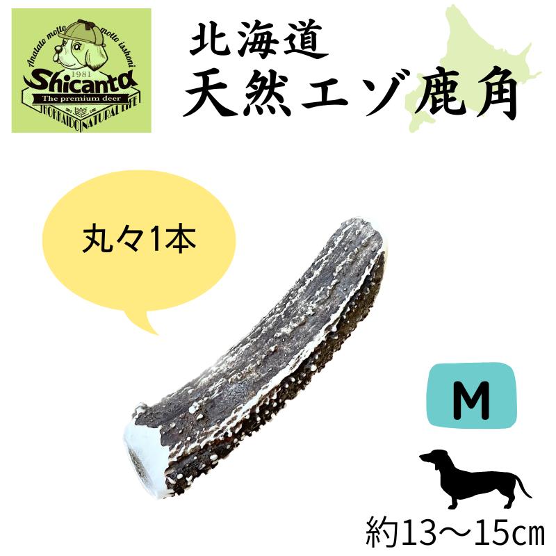 北海道蝦夷鹿角
