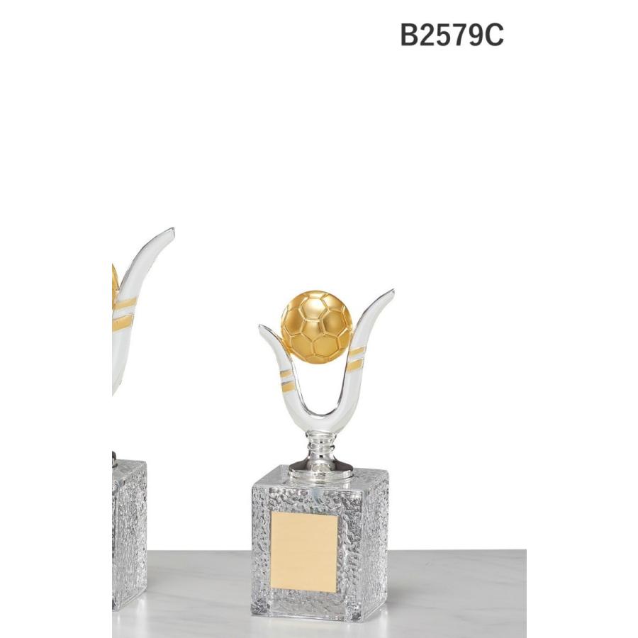 ブロンズ サッカー B2579c 文字入れ無料 高さ17cm 柔らかな質感の B2579c