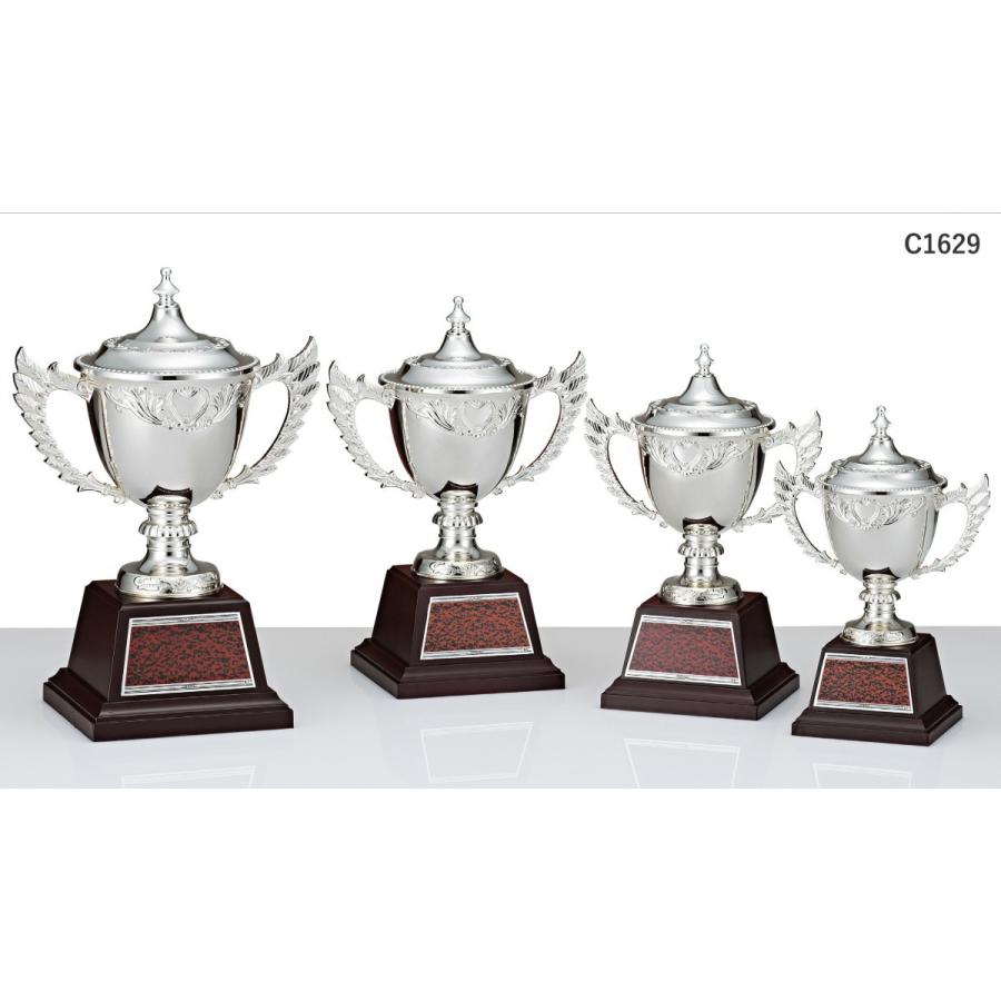 4/30正午まで]優勝カップ RC1629B 高さ23.5cm シルバー 文字入れ無料