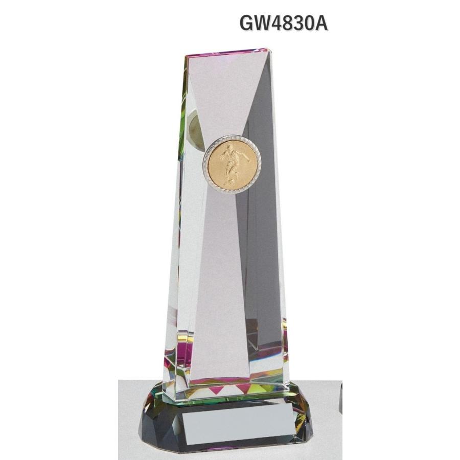 クリスタル トロフィー Gw40a 高さ22 5cm 24種目 文字入れ無料 Www Unipymes Com