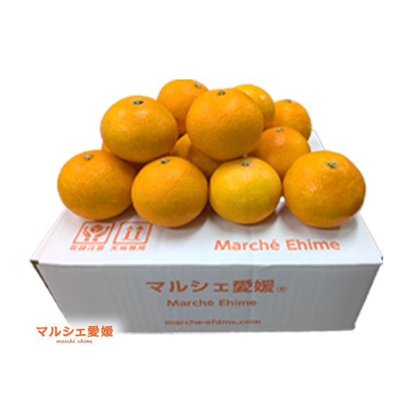 荻ママ　愛果28号　3kg3箱 あいか 2.5キロ まどんな サイズ混合 約12〜14個 箱買い L 2L 3L 2.5kg
