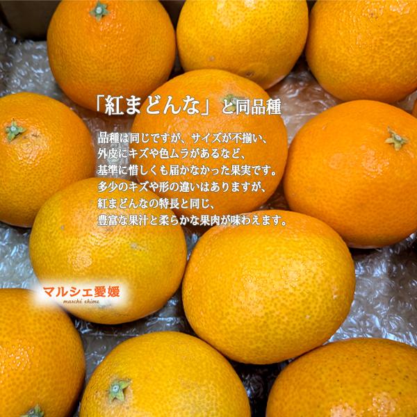 あいか 2.5キロ まどんな サイズ混合 約12〜14個 箱買い L 2L 3L 2.5kg