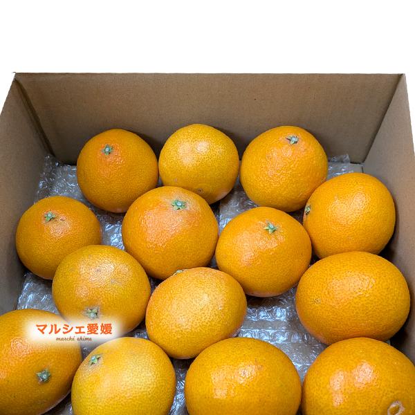 msr　愛果28号　3kg2箱 あいか 2.5キロ まどんな サイズ混合 約12〜14個 箱買い L 2L 3L 2.5kg